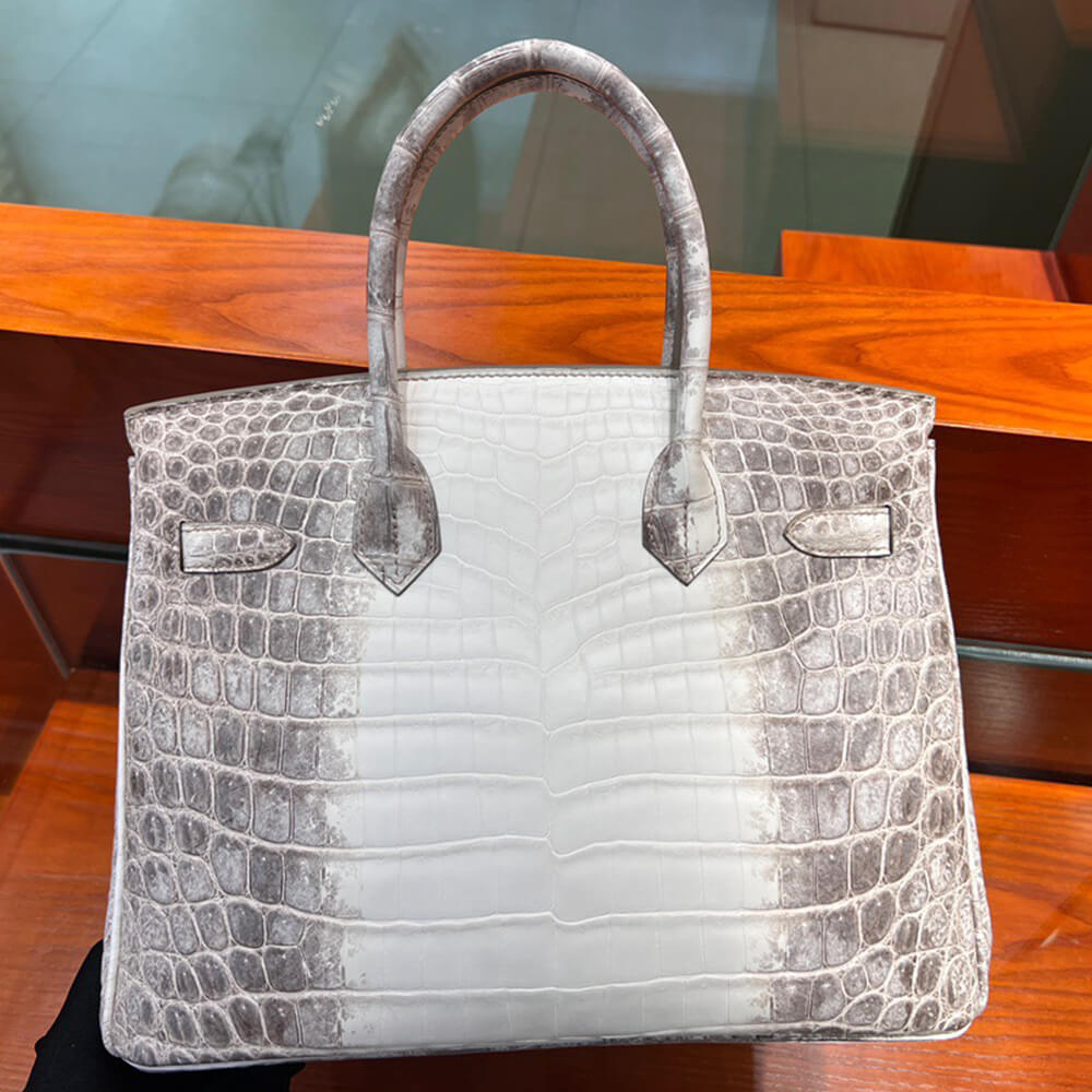 H**me5 Birkin 30 Himalayan