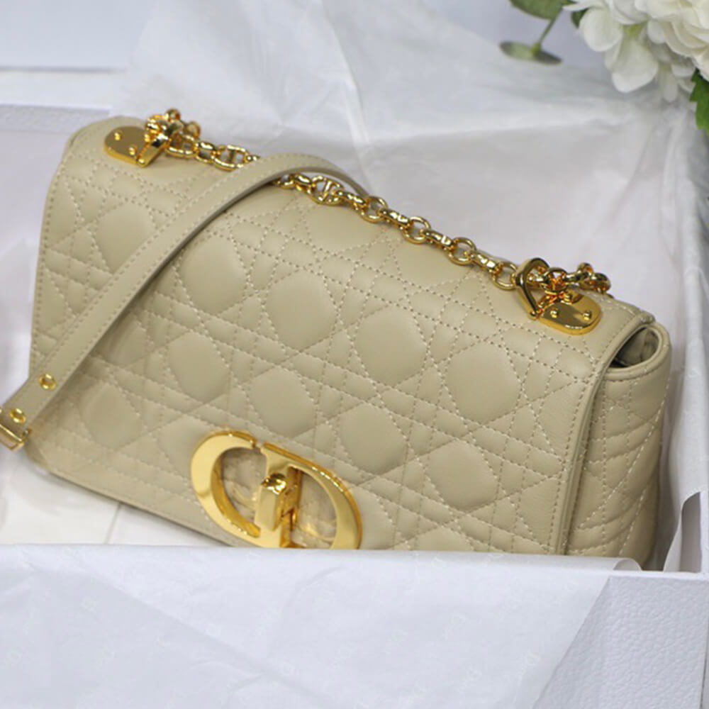 MEDIUM D10r CARO BAG