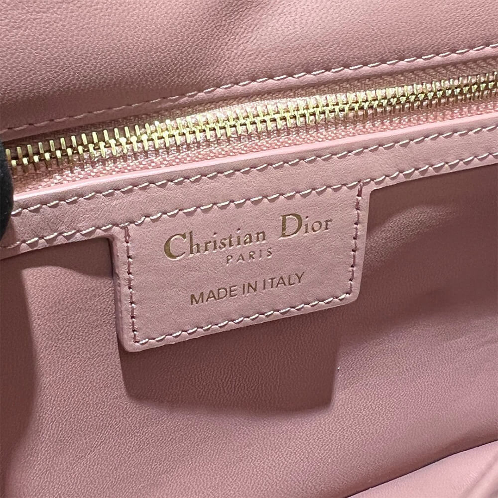 MEDIUM D10r CARO BAG
