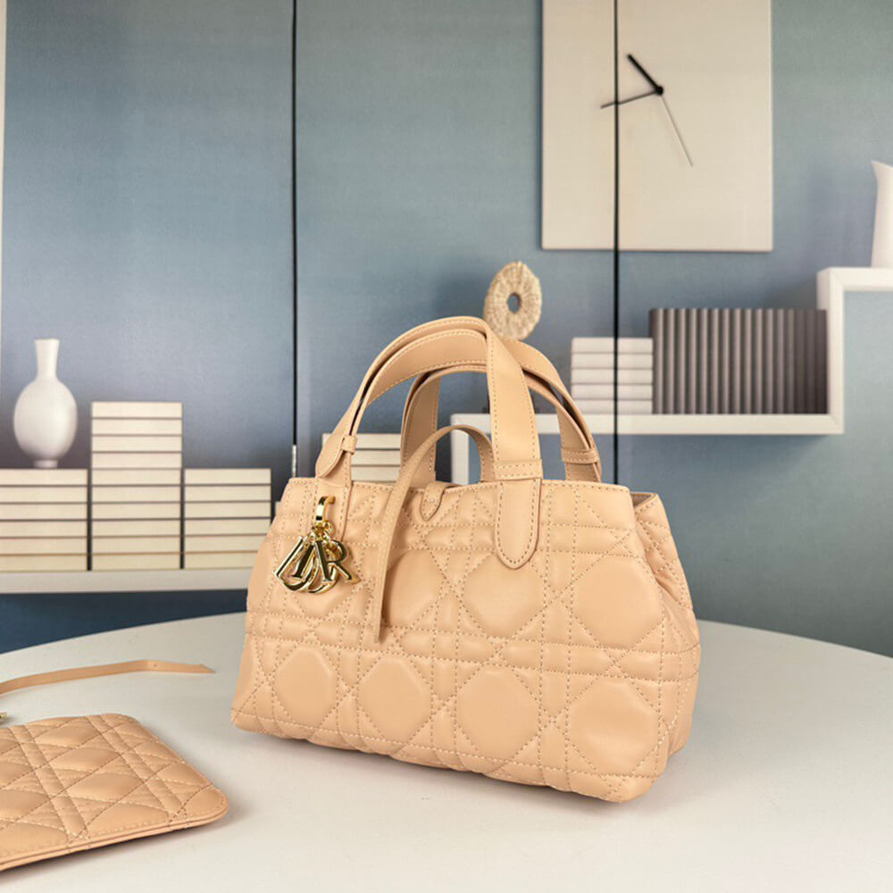 SMALL D10r TOUJOURS BAG