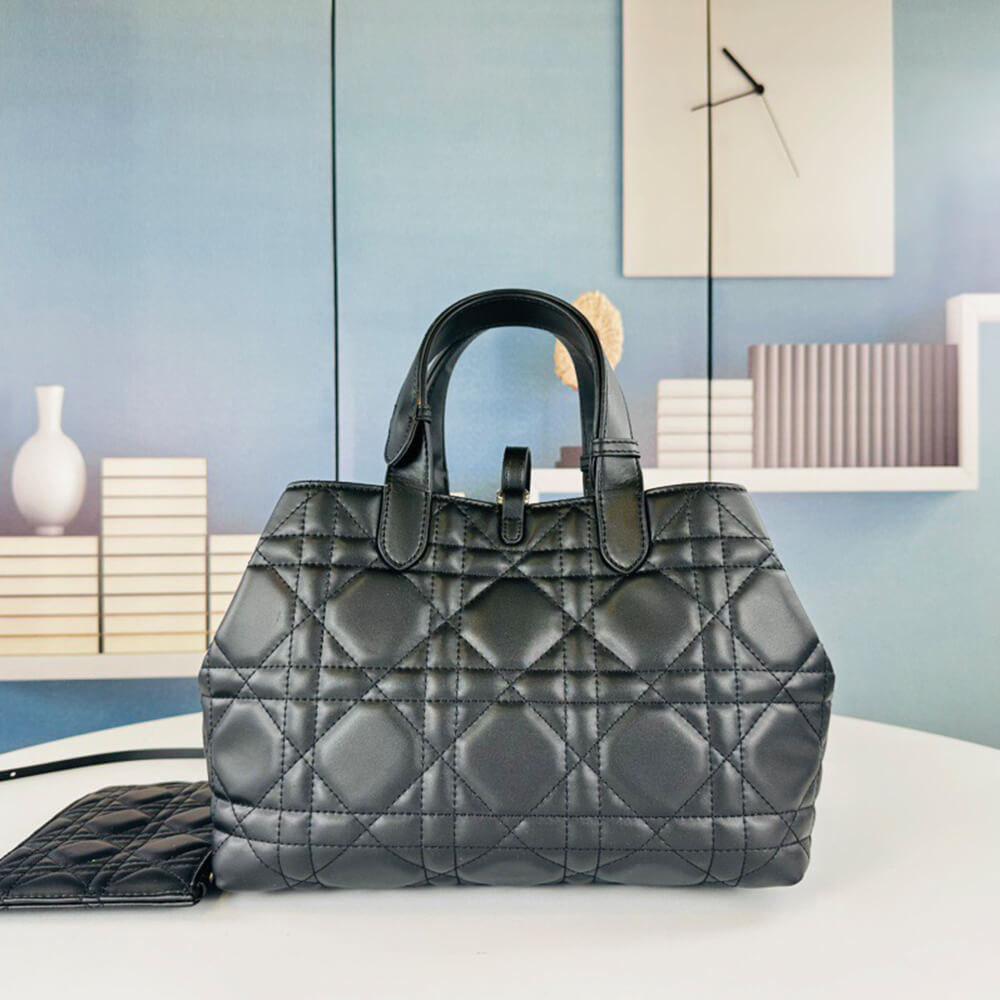 MEDIUM D10r TOUJOURS BAG