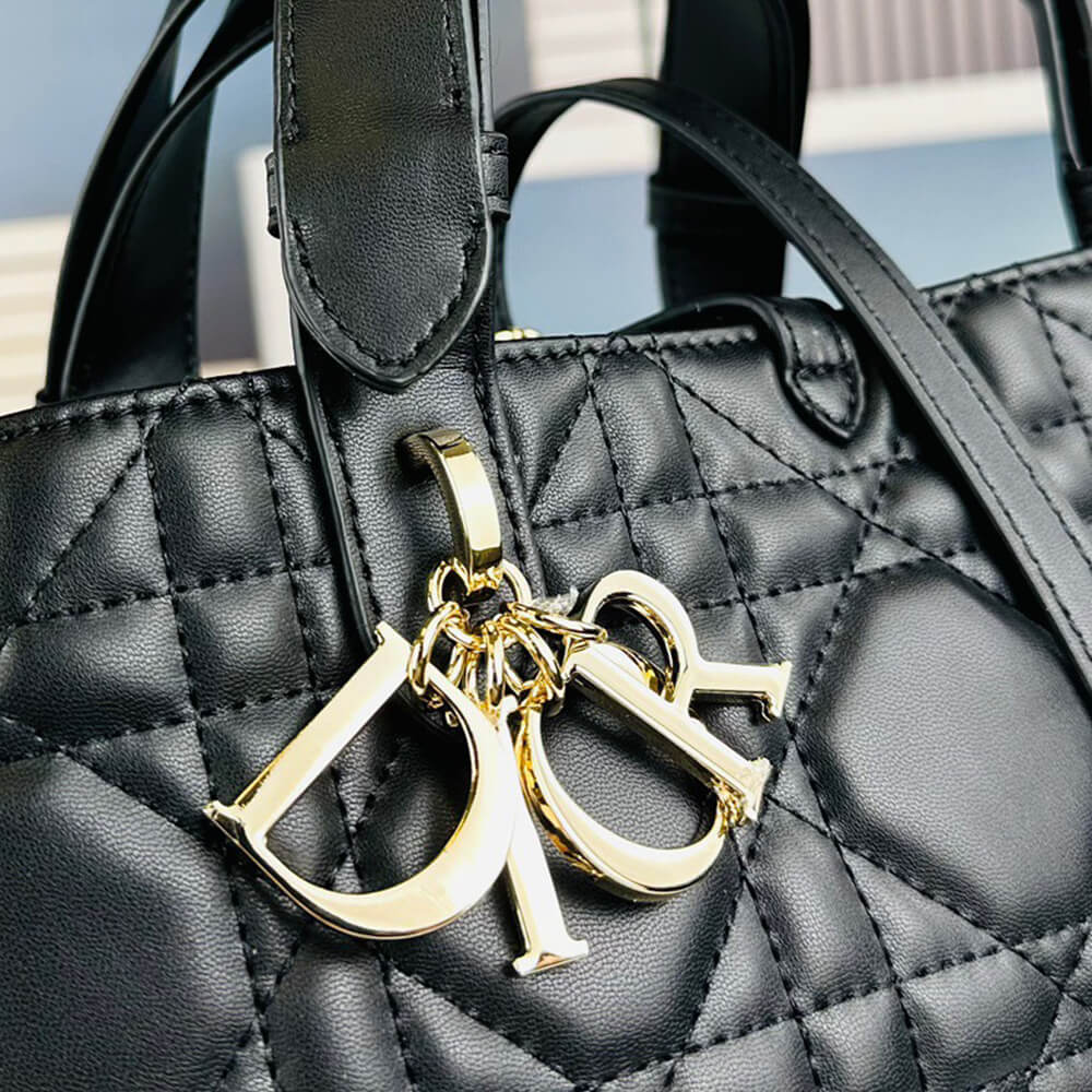 SMALL D10r TOUJOURS BAG