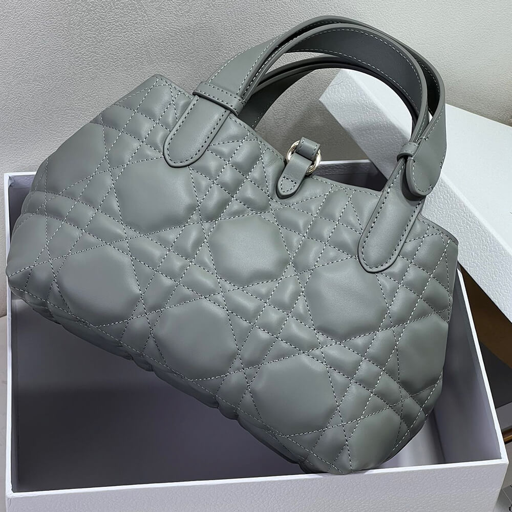 Small D10r TOUJOURS BAG