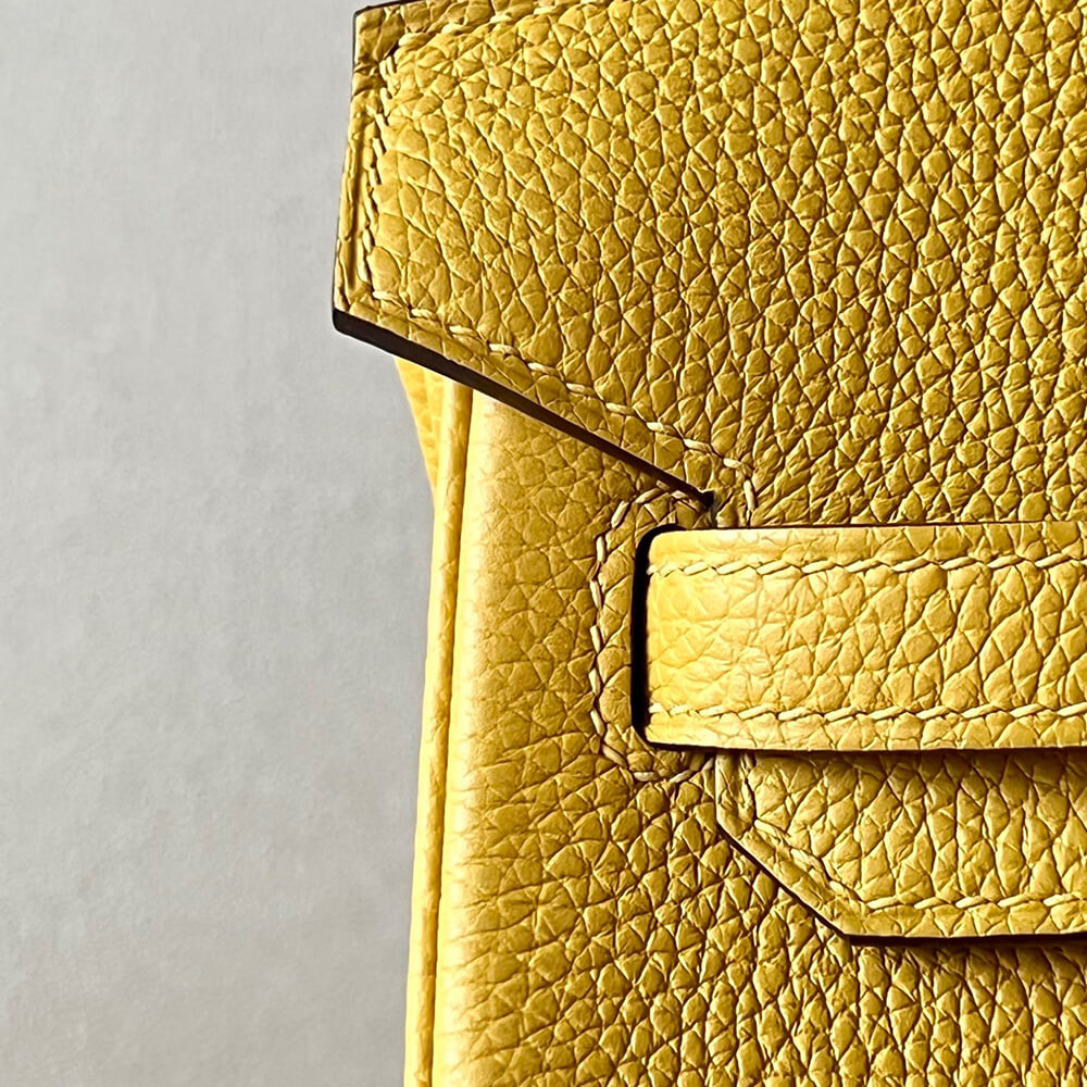 H**me5 BIRKIN BAG 25