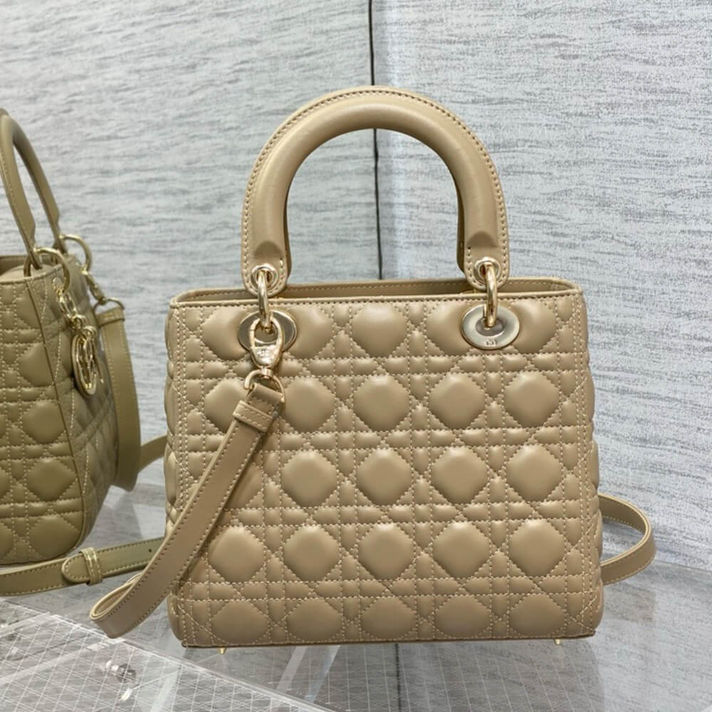 Medium Lady D10r Bag(HIGH-END GRADE)