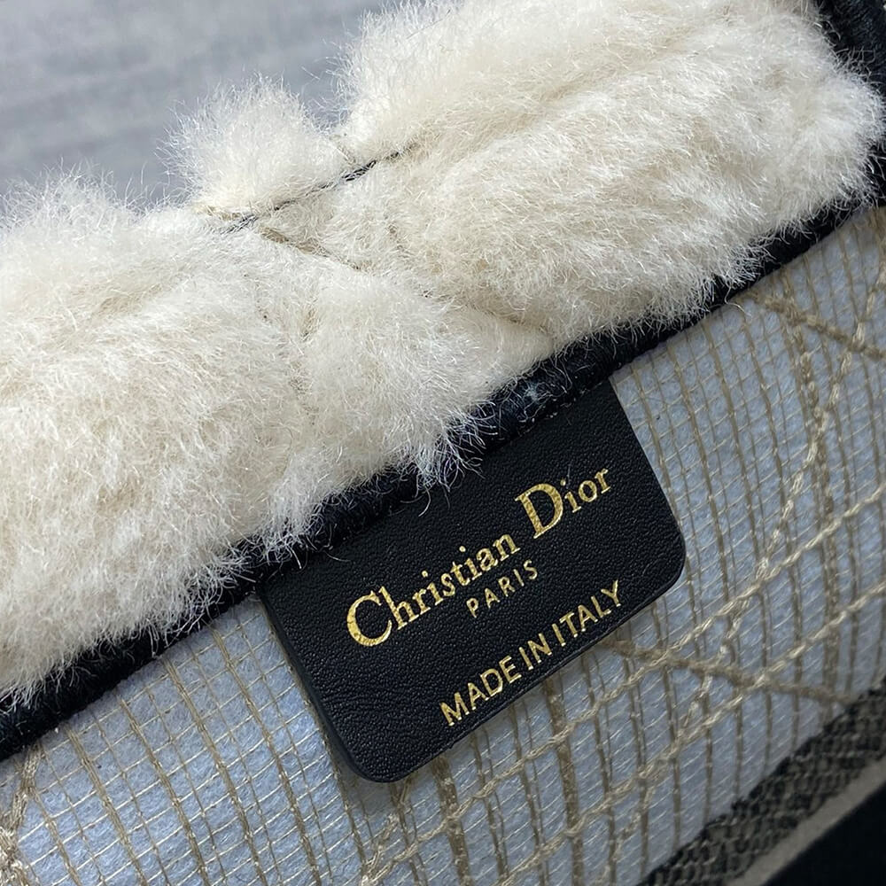 Medium D10r Book Tote