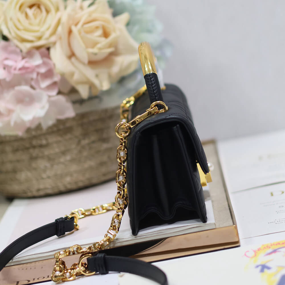 Mini D10r Ange Bag