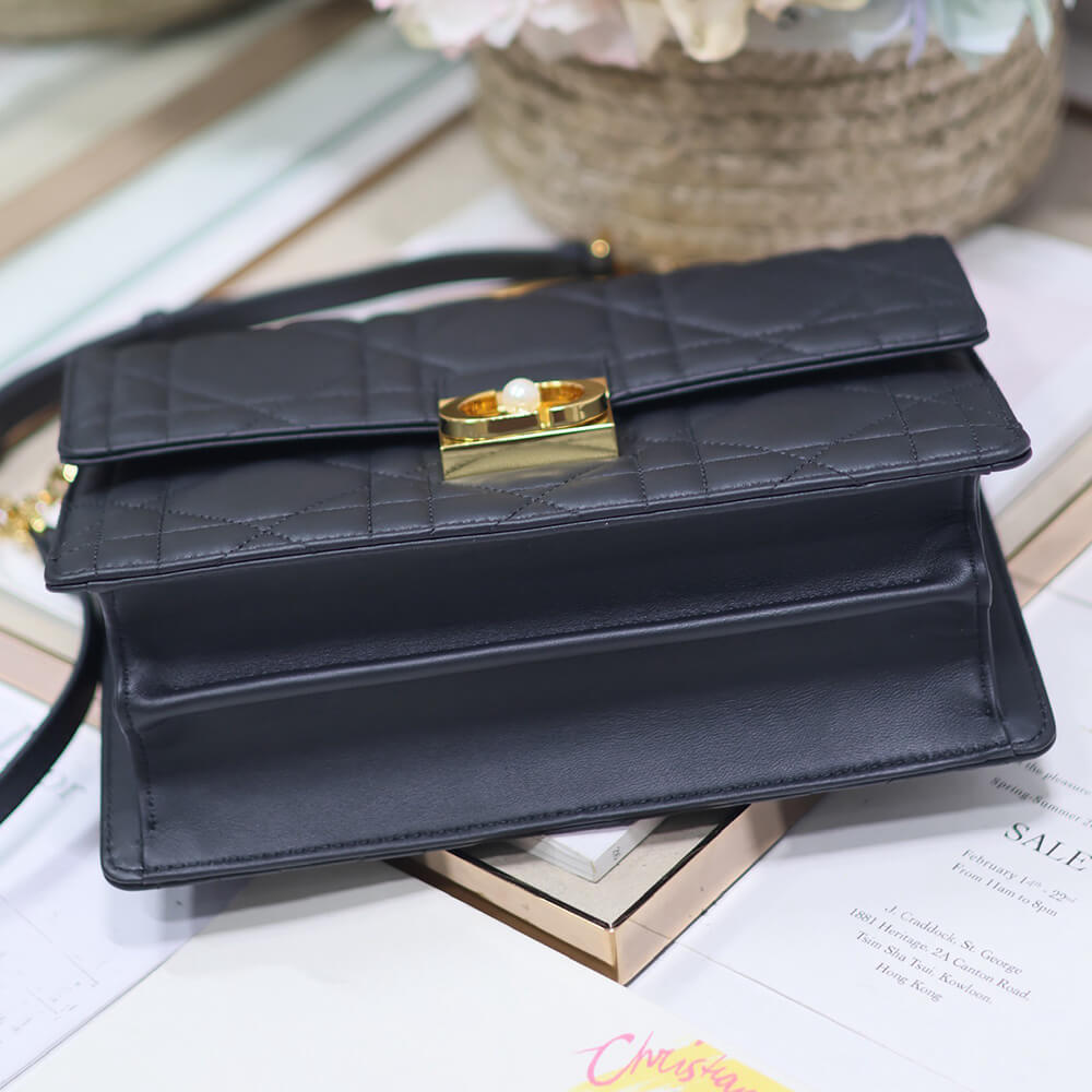 Medium D10r Ange Bag