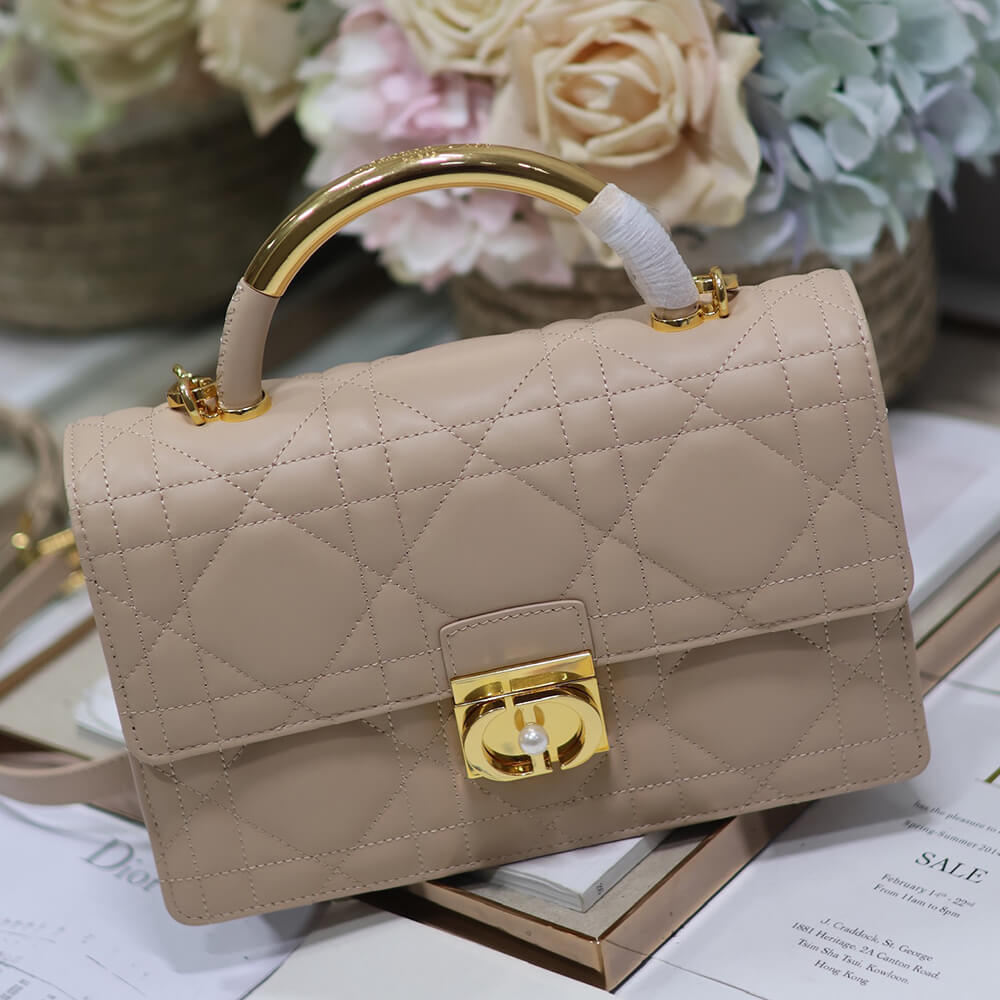 Medium D10r Ange Bag