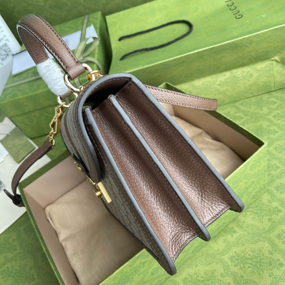 Gvc*1 Ophidia small top handle bag