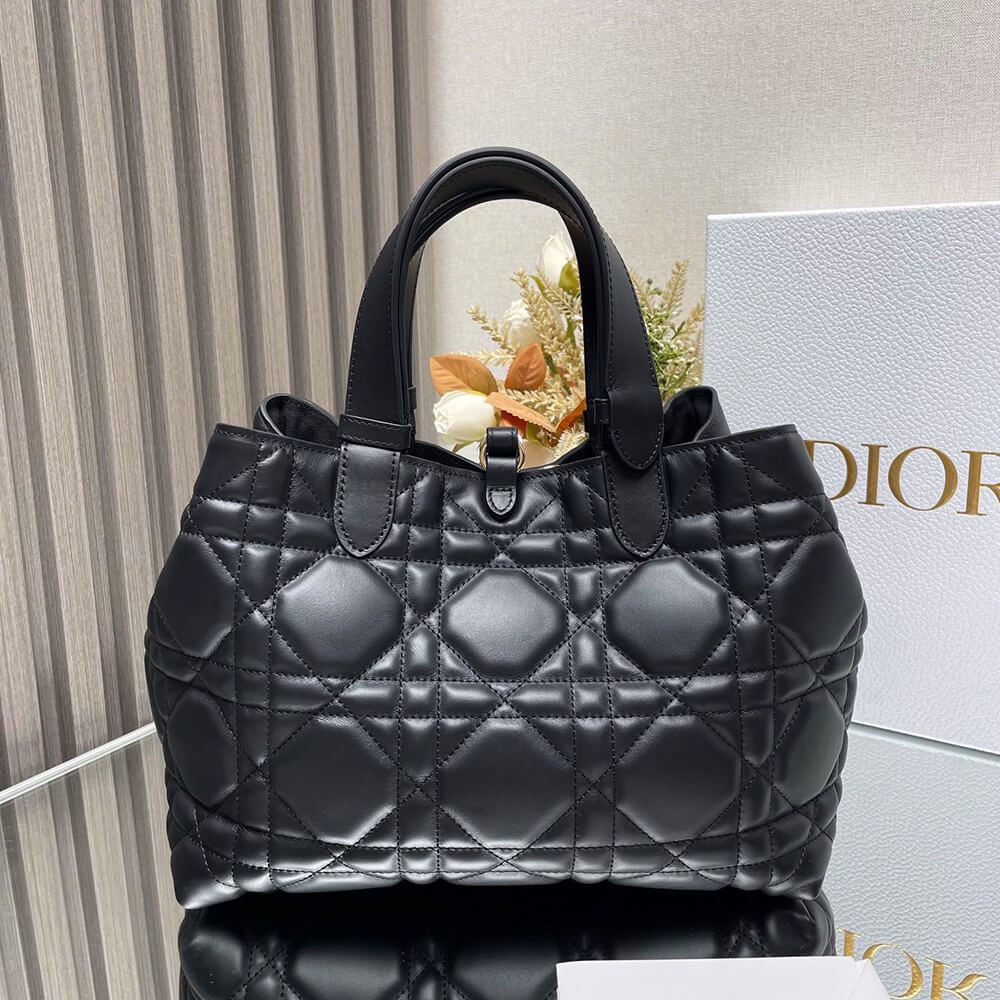 MEDIUM D10r TOUJOURS BAG(HIGH-END Grade)