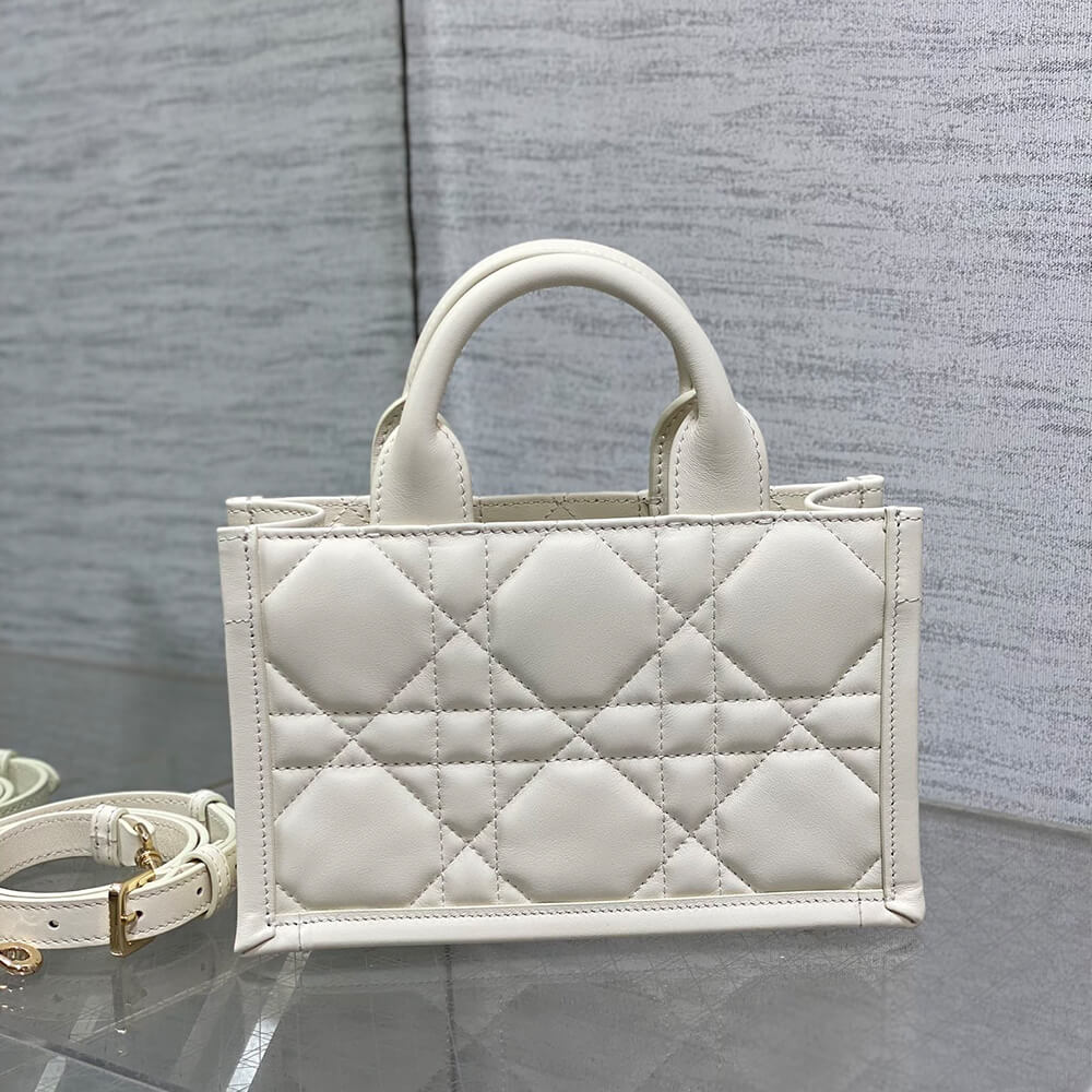 Mini D10r Book Tote