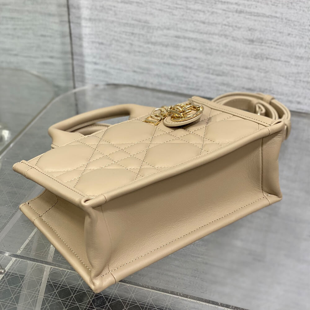 Mini D10r Book Tote