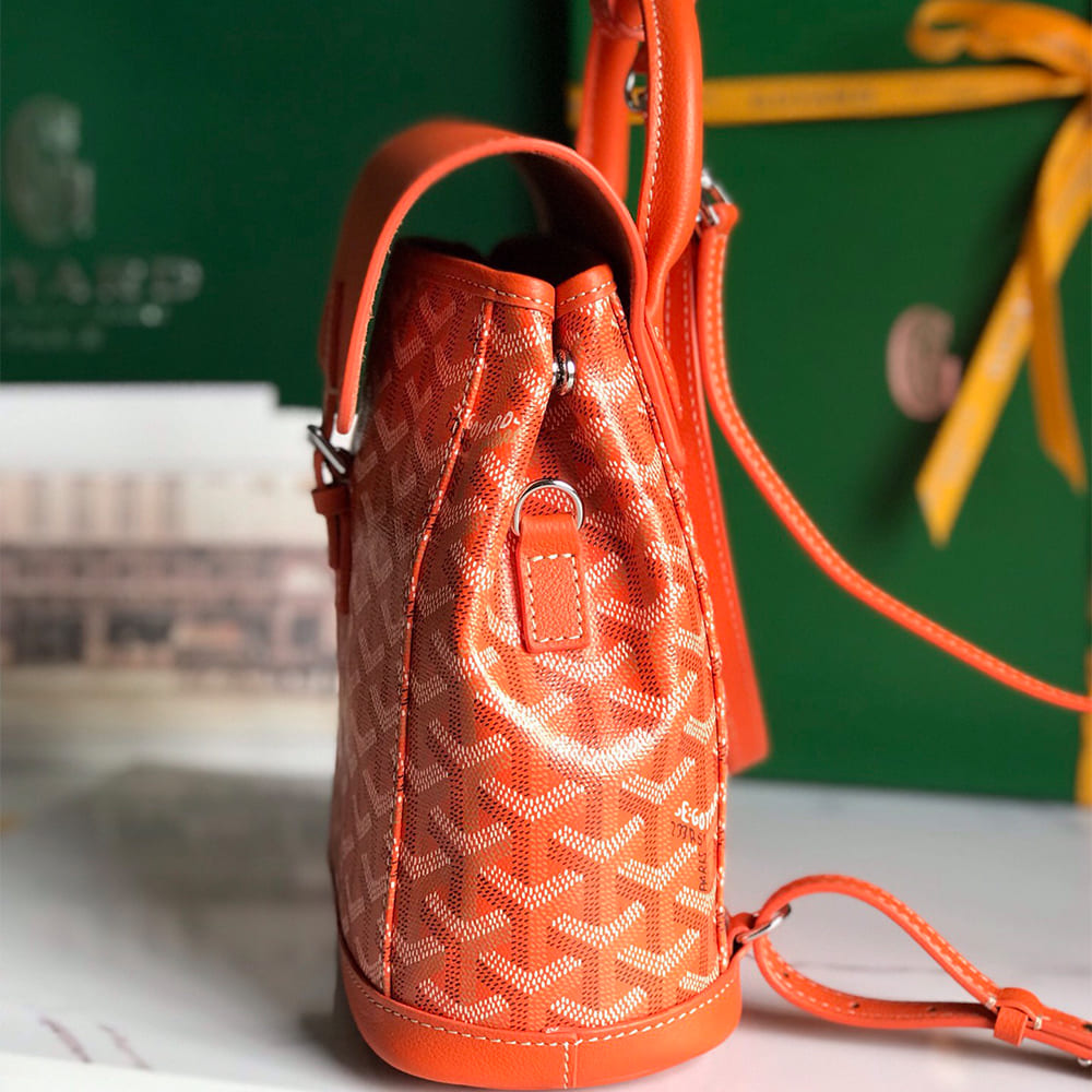G09ard Alpin Mini Backpack