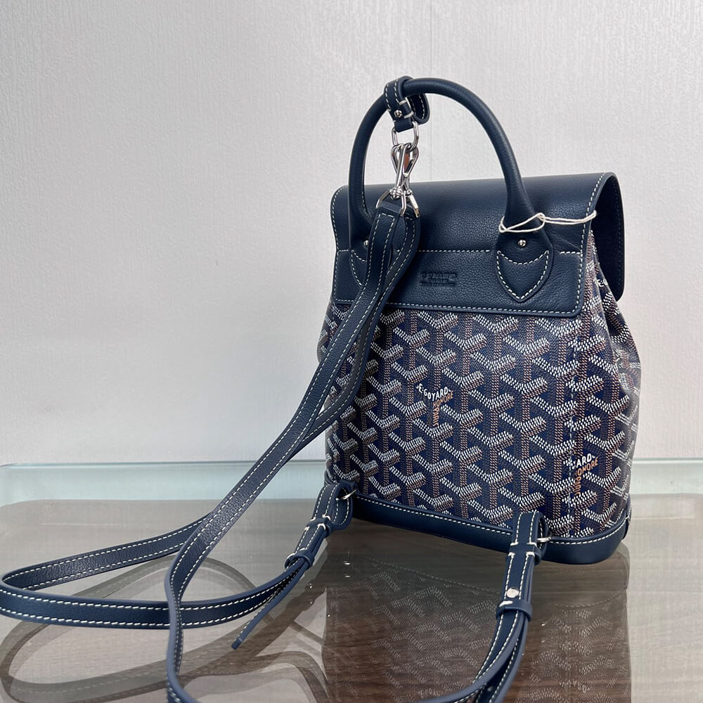 G09ard Alpin Mini Backpack