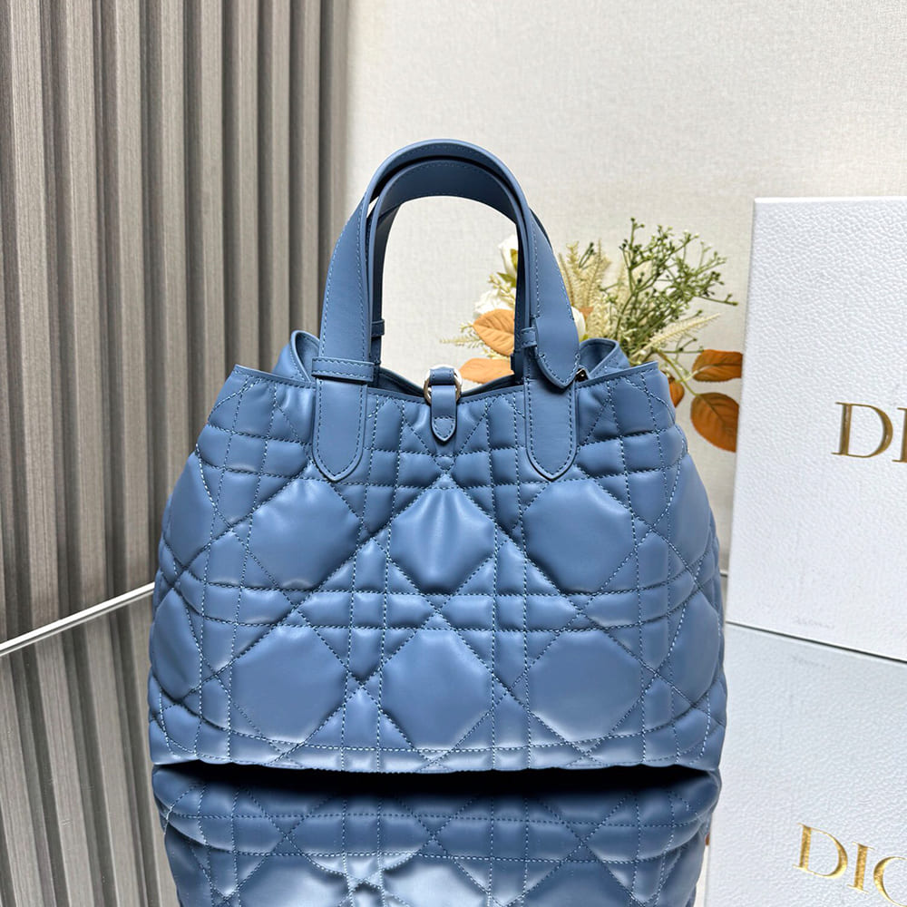 Medium D10r Toujours Bag
