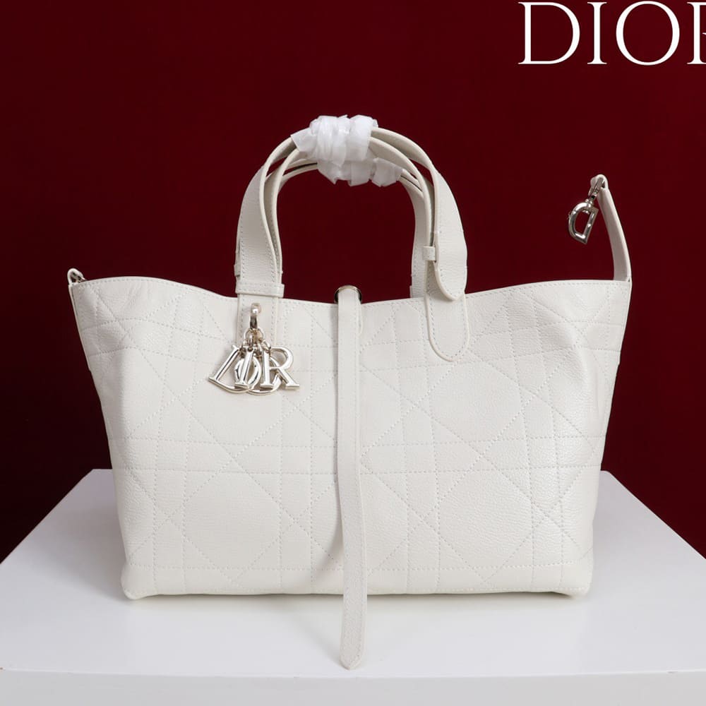 Medium D10r Toujours Bag