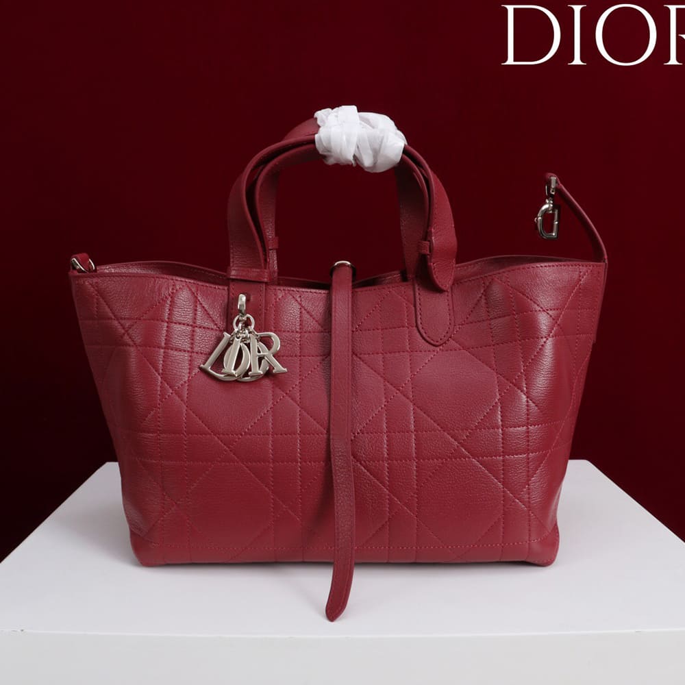 Medium D10r Toujours Bag