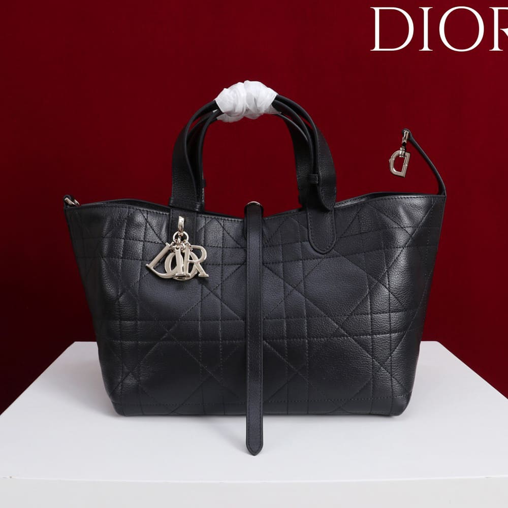Medium D10r Toujours Bag