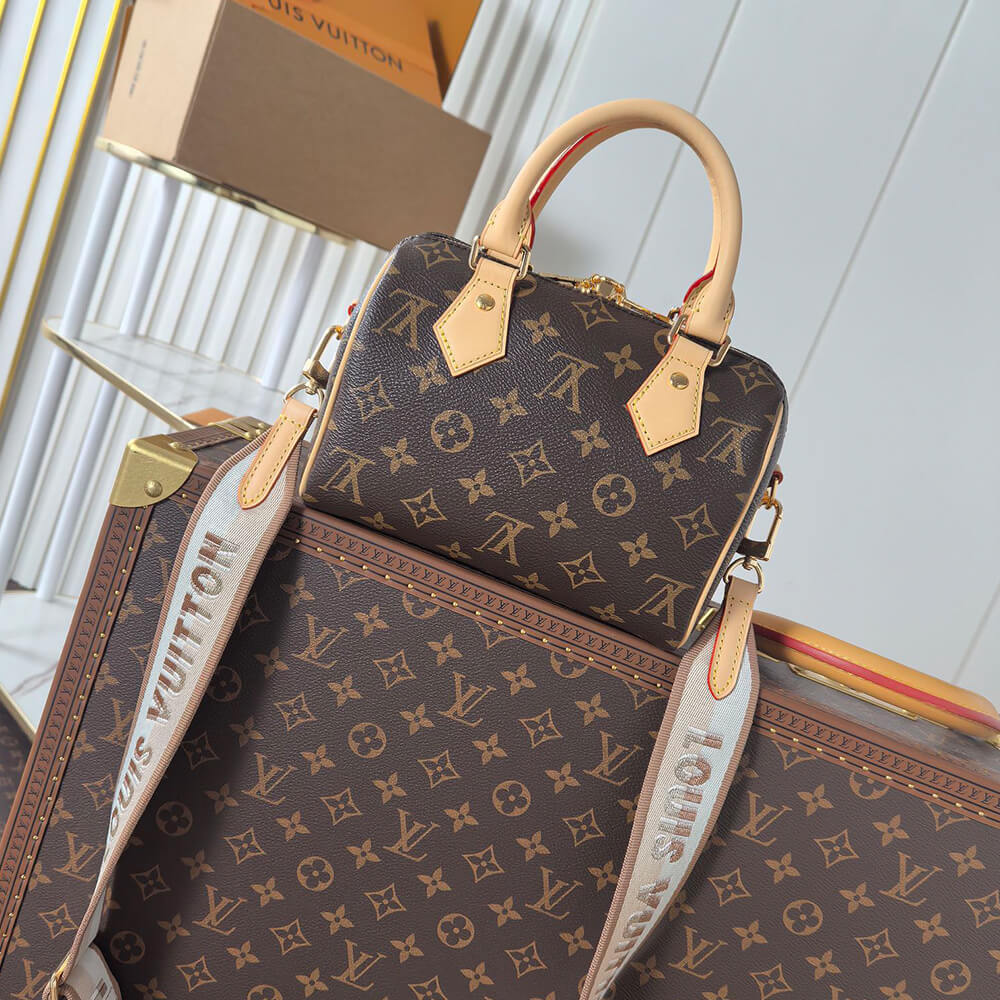 LV Speedy Bandouliere 20(High-end Grade)