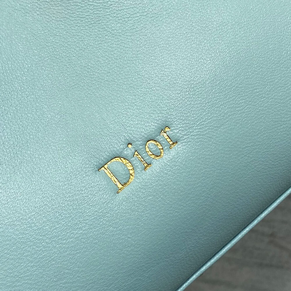 Medium D10r Bow Bag(HIGH-END GRADE)