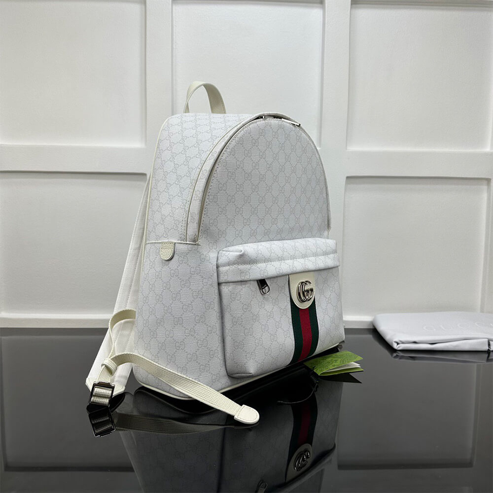Gvc*1 Brera Ophidia medium backpack(HIGH-END GRADE)