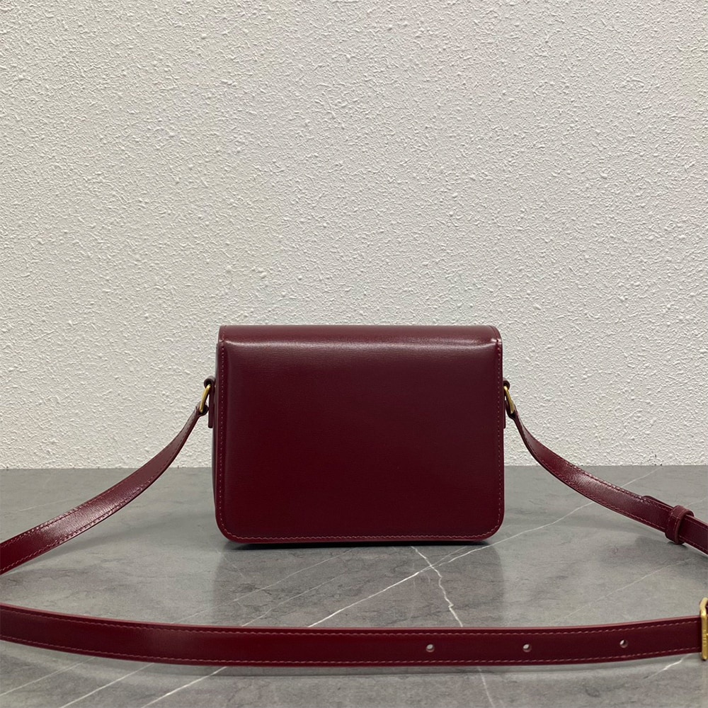 Ce1i*e TEEN TRIOMPHE BAG IN shiny calfskin(HIGH-END GRADE)