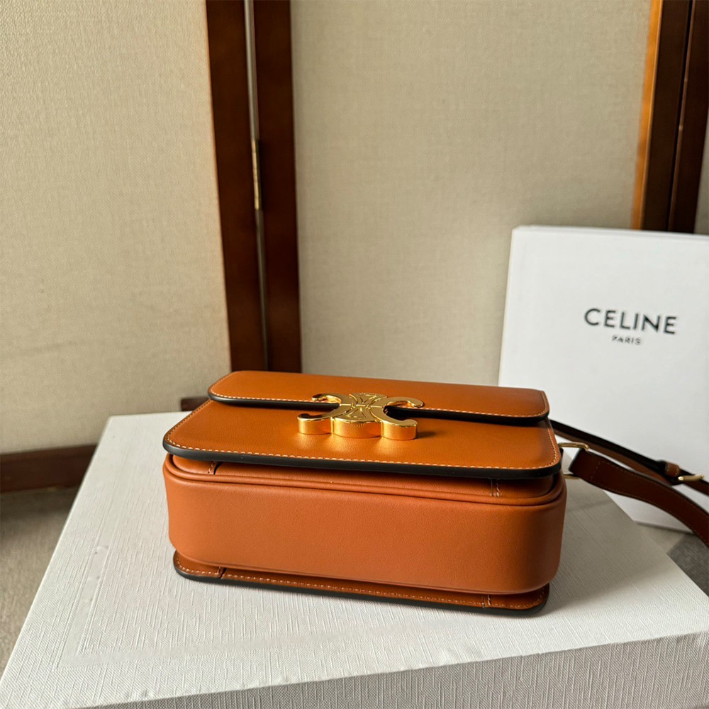 Ce1i*e TEEN TRIOMPHE BAG IN shiny calfskin(HIGH-END GRADE)
